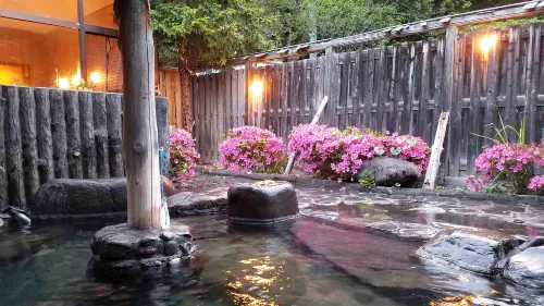 Hotel Uguisu - Hot Springs