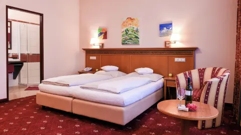 Hotel Alexandra in Wels