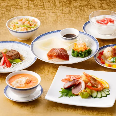Okura Akademia Park Hotel