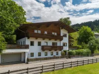 Bergkraft Apartments Hopfgarten - Homestays