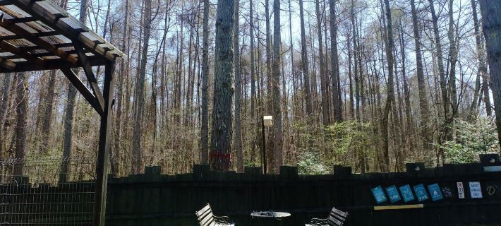 はじまりの宿 ディール 吾妻郡のホテル