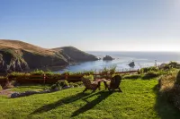 Scp Mendocino Coast Lodge - WiFi