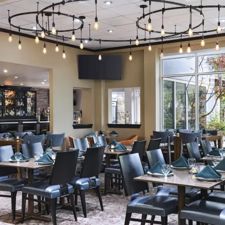 Hilton Garden Inn DFW Airport South