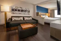 SpringHill Suites Herndon Reston - parking