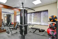 Hampton Inn by Hilton Sudbury, Ontario - palestra