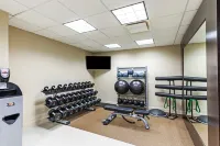 Hilton Garden Inn Aiken - نادي رياضي