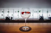 拉格阿斯公園飯店 - 酒吧