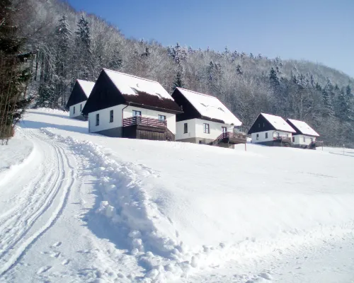 Green Valley Park Stárkov Hotels in Starkov