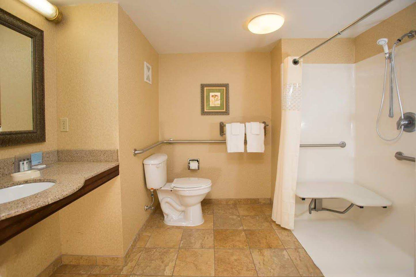 Hampton Inn & Suites Houston Rosenberg