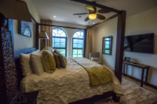 Spectacular 3 Bedroom Penthouse at Croc's Resort & Casino