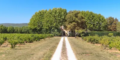 B&b Guest House "Domaine le Clos du Pavillon" Provence