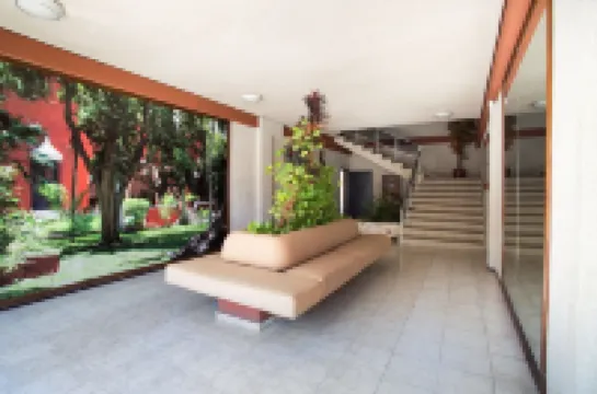 蘇利特斯德爾索爾