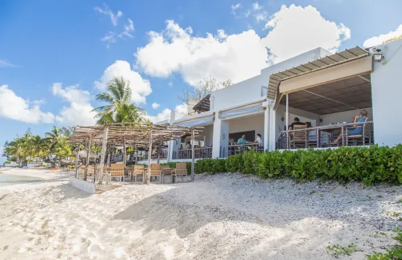 礁石態度 - 限成人