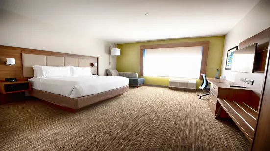 Holiday Inn Express & Suites Houston SW - Galleria Area