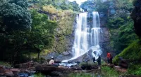 Kemmannugundi Hill Resort-Jungle Lodges Hotels near Hebbe Falls