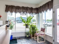Motel 6 Albany, or Hotels in Albany