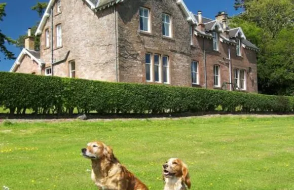 懷特豪斯鄉間別墅住宿加早餐旅館