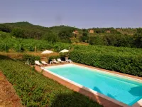 Villa Magna - Pools