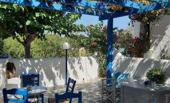 Pelagos Studios