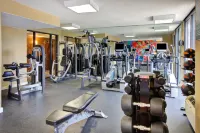 Holiday Inn NATIONAL AIRPORT/CRYSTAL CITY by IHG - palestra