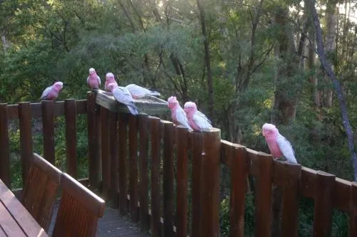 蜜月美景度假屋