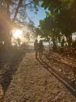 Longbeach Kohphayam