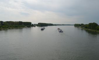 Zwei Raben Pension