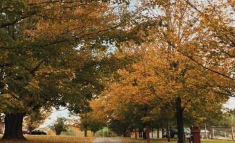 Ashling Acres