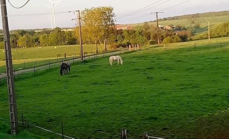 Jad Ranch - Housity