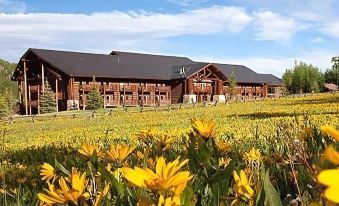 a wooden building surrounded by a field of yellow flowers , creating a serene and picturesque scene at Daniels Summit Lodge