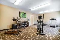 Comfort Inn Apalachin / Binghamton W Route 17 - palestra