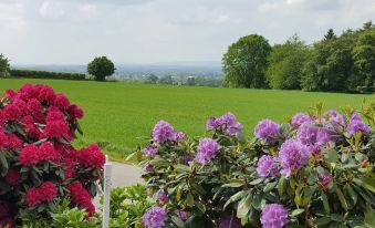 Café Sonnenschein & Pension