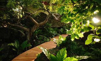 Isleta El Espino Ecolodge