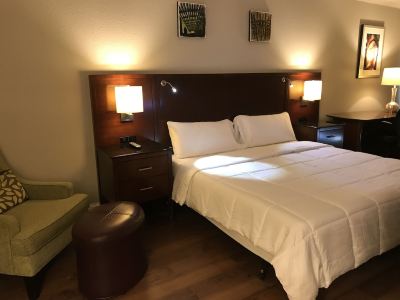 Luxury Room, 1 King Bed, Non Smoking, Refrigerator & Microwave