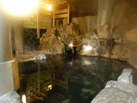 Nakajima Ryokan Hotels in Hanamaki