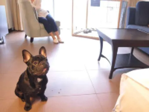 Hotel Harvest Arima Rokusai Hotels in 