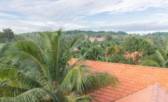 Phu Quoc Pomelo Garden