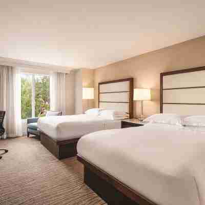 Hilton Naples Rooms