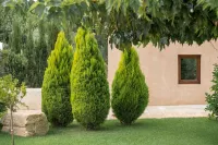 Safragell Ibiza Suites & Spa