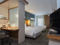 SpringHill Suites Columbia Downtown/The Vista Hotels near Trustus Theatre
