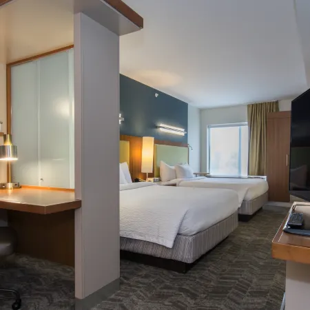 SpringHill Suites Columbia Downtown/The Vista