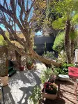 La Paillère Chambres D hôtes Hotel dekat Arenes Francis San Juan