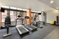 Super 8 by Wyndham Westminster Denver North - gimnasio