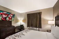 Red Roof Inn Allentown South - Moteles