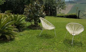 a grassy yard with two white chairs placed next to each other , surrounded by trees and bushes at Erika