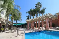 Wyndham Garden McAllen at la Plaza Mall - piscine