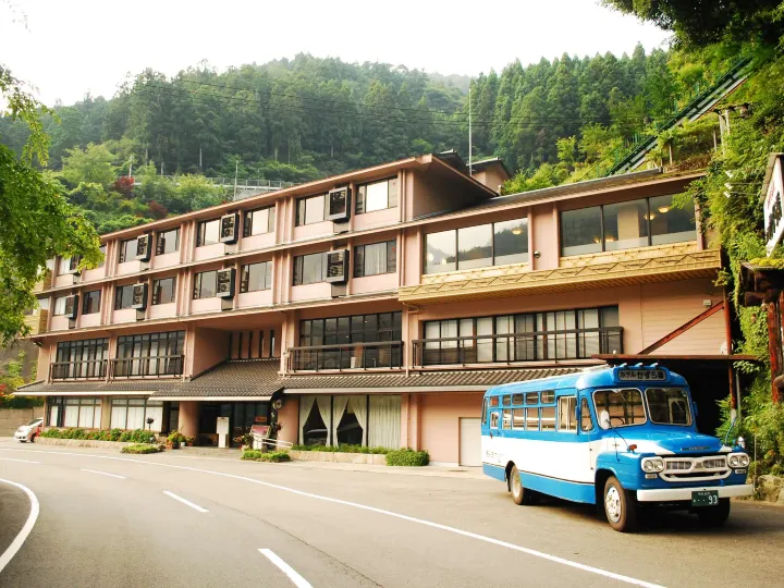 湯元新祖谷温泉蔓橋酒店