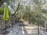 Ulivo Hotels in Chiusanico