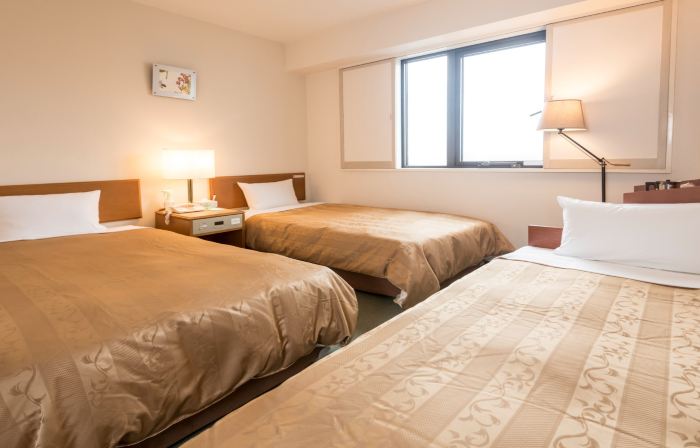 Hashimoto Park Hotel
