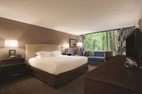 Hilton Durham Near Duke University Hotels in Durham